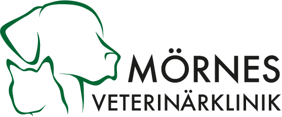 veterinär i Landskrona, smådjursklinik, hundens och kattens sjukdomar, ögonlysning
